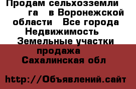 Продам сельхозземли ( 6 000 га ) в Воронежской области - Все города Недвижимость » Земельные участки продажа   . Сахалинская обл.